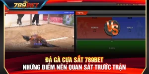 Đá Gà Cựa Sắt 789BET – Những Điểm Nên Quan Sát Trước Trận